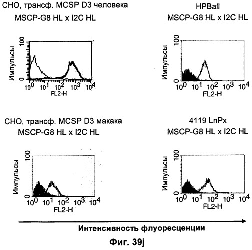 Pscaxcd3, cd19xcd3, c-metxcd3, эндосиалинxcd3, epcamxcd3, igf-1rxcd3 или fap-альфаxcd3 биспецифическое одноцепочечное антитело с межвидовой специфичностью (патент 2547600)