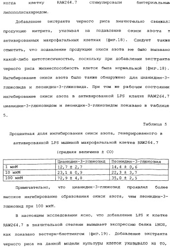 Способ экстракции антоцианинов из черного риса и их композиция (патент 2336088)