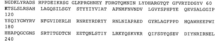 Мутантный термолабильный энтеротоксин e.coli (патент 2441879)