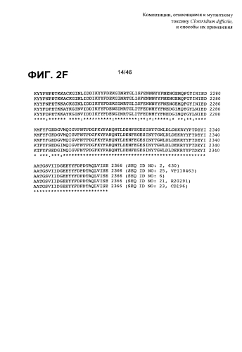 Композиции, относящиеся к мутантному токсину clostridium difficile, и способы их применения (патент 2592686)