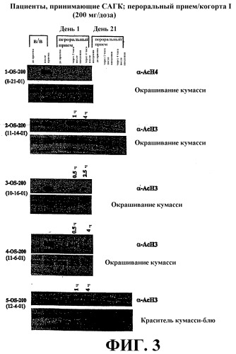 Способы индукции конечной дифференцировки (патент 2394022)