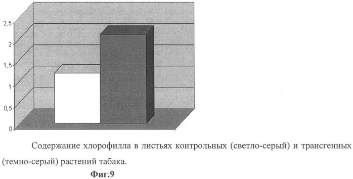 Использование гена мембранной пирофосфатазы бактерии rhodospirillum rubrum для изменения свойств растений (патент 2378379)