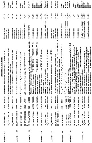 Гены corynebacterium glutamicum, кодирующие белки метаболических путей (патент 2306339)