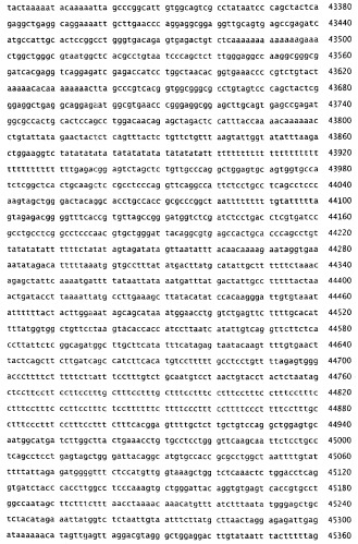 Применение s1p (патент 2362565)