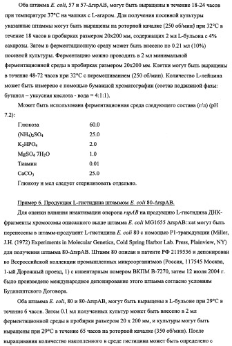 Способ получения l-треонина с использованием бактерии, принадлежащей к роду escherichia, в которой инактивирован оперон rspab (патент 2337961)