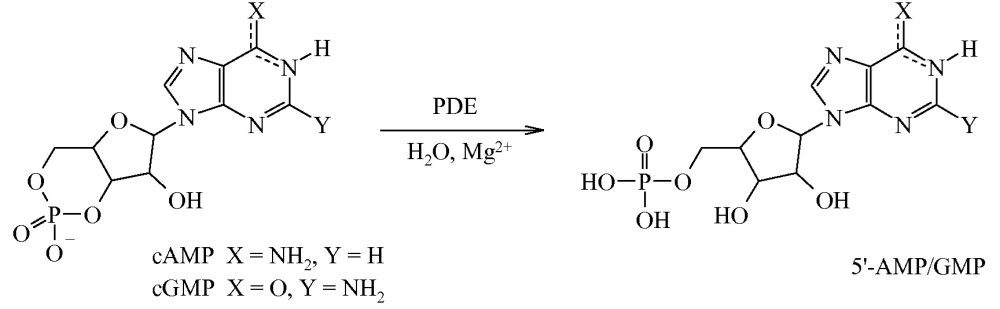 Ингибиторы фермента фосфодиэстеразы 10 (патент 2667058)