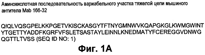 Гуманизированные антитела к фактору d и их применения (патент 2474589)