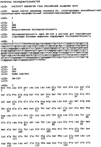 Линия клеток меланомы человека kg, секретирующих рекомбинантный гранулоцитарно-макрофагальный колониестимулирующий фактор (патент 2362805)