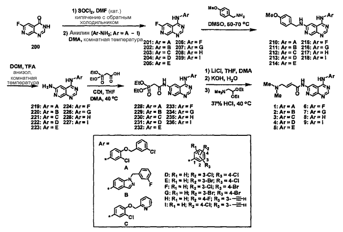 Ингибиторы киназы, их пролекарственные формы и их применение в терапии (патент 2568639)