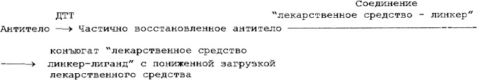 Монометилвалиновые соединения, способные образовывать конъюгаты с лигандами (патент 2448117)