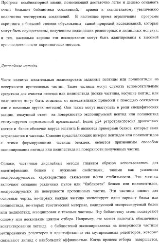 Экспонирование т-клеточных рецепторов (патент 2346004)