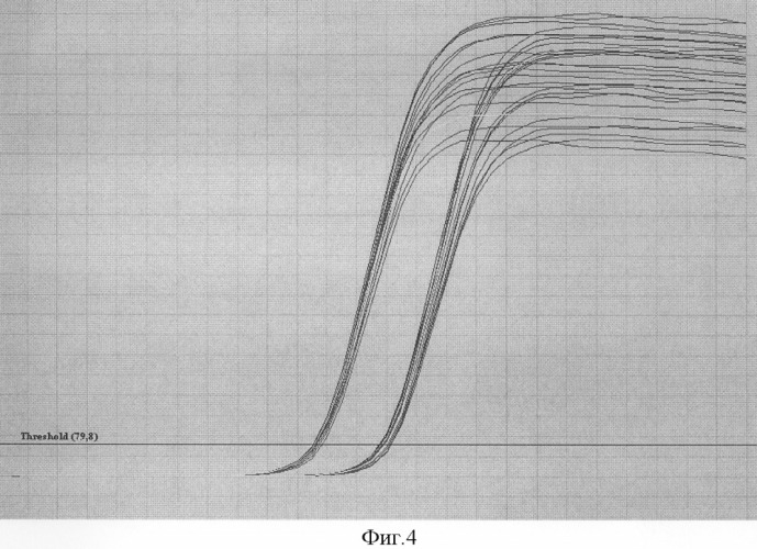 Способ стандартизации данных полимерной цепной реакции с регистрацией накопления продуктов реакции по флуоресценции непосредственно во время реакции (пцр &quot;в реальном времени&quot;) (патент 2294532)