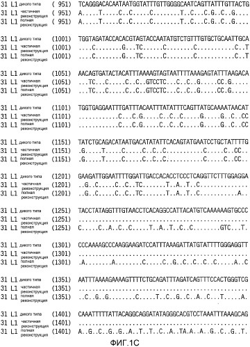 Молекула нуклеиновой кислоты, кодирующая hpv31 l1, экспрессирующий вектор, клетка-хозяин, вирусоподобная частица и способ ее получения, вакцина, фармацевтическая композиция и способы с их использованием (патент 2356943)