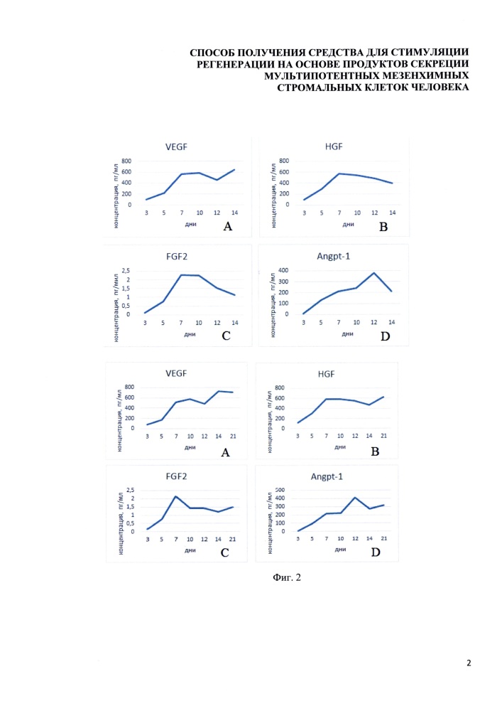 Способ получения средства для стимуляции регенерации на основе продуктов секреции мультипотентных мезенхимных стромальных клеток человека (патент 2620167)