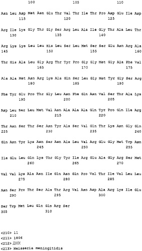 Пептид neisseria meningitidis для терапевтического и диагностического применения (патент 2313535)