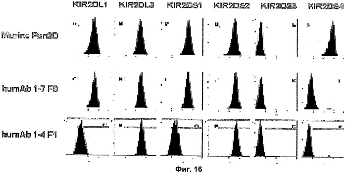 Антитела, связывающиеся с рецепторами kir2dl1,-2,-3 и не связывающиеся с рецептором kir2ds4, и их терапевтическое применение (патент 2410396)