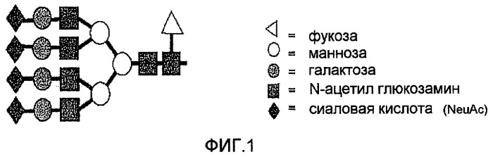 Исследование n-гликанов с использованием экзогликозидаз (патент 2475759)