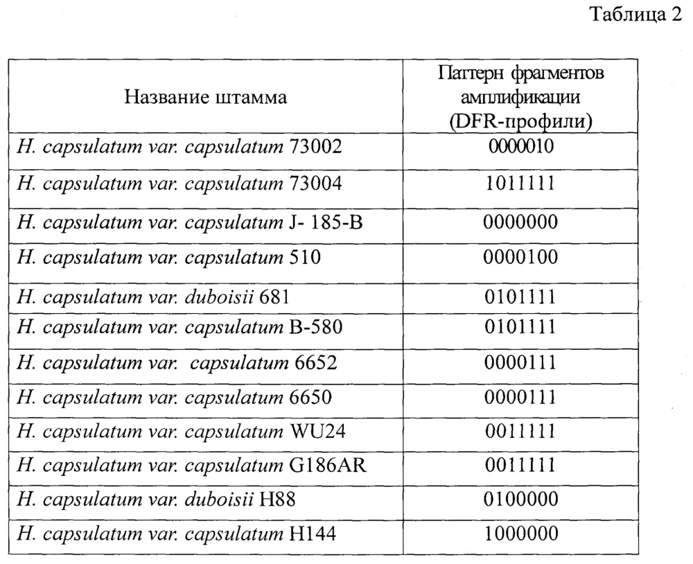 Название штаммов.