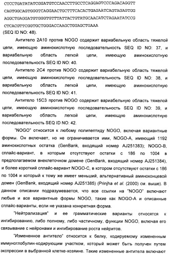 Nogo-a-нейтрализующие иммуноглобулины для лечения неврологических заболеваний (патент 2362780)