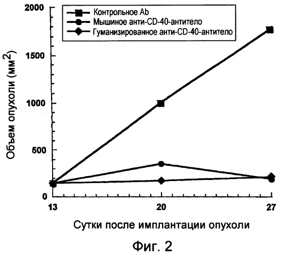 Гуманизированные анти-cd40-антитела и способы их применения (патент 2407544)