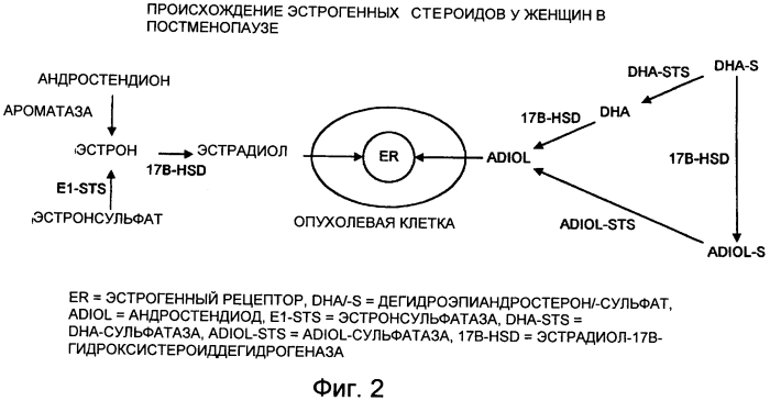 Ингибиторы ароматазы (патент 2572244)