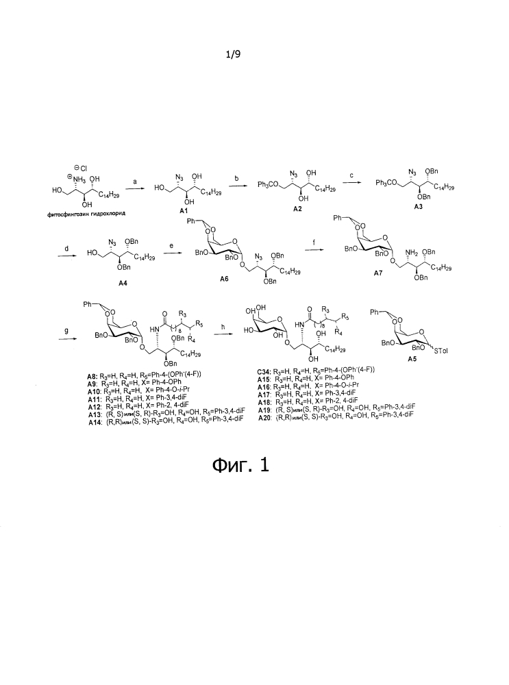 Способы получения гликосфинголипидов и их применение (патент 2636587)