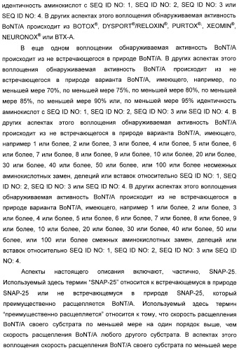 Иммунологические анализы активности ботулинического токсина серотипа а (патент 2491293)