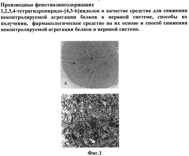 Производные фенотиазинсодержащих 1,2,3,4-тетрагидропиридо[4,3-b]индолов в качестве средства для снижения неконтролируемой агрегации белков в нервной системе, способы их получения, фармакологическое средство на их основе и способ снижения неконтролируемой агрегации белков в нервной системе (патент 2529899)