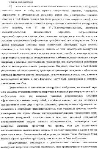 Аминокислотные последовательности, направленные на rank-l, и полипептиды, включающие их, для лечения заболеваний и нарушений костей (патент 2481355)