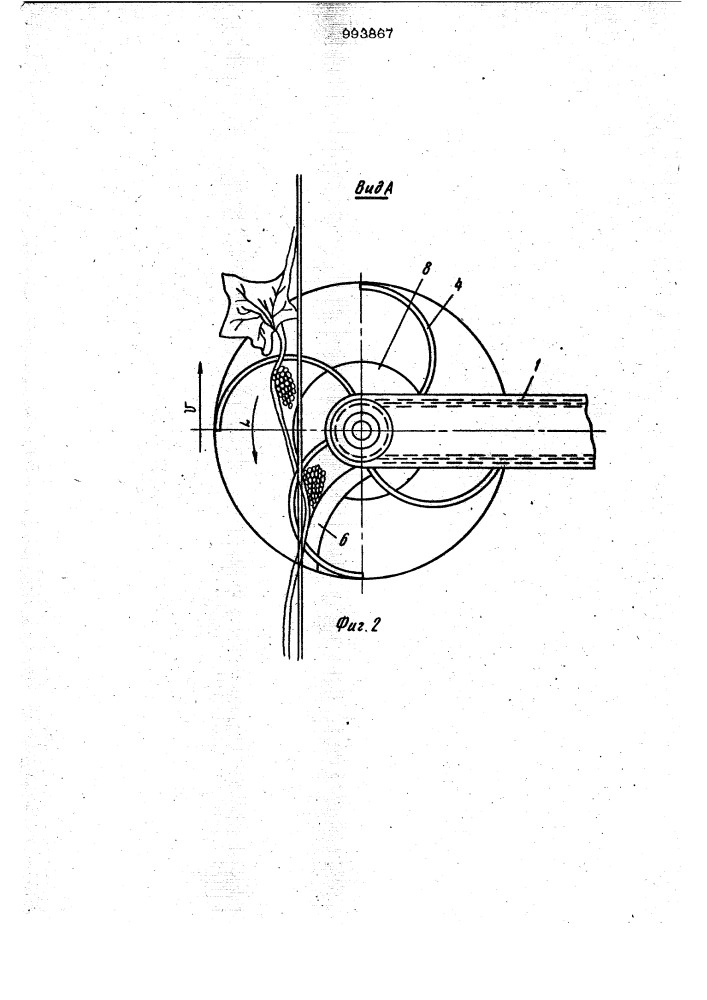 Рабочий орган для уборки кистей винограда (патент 993867)