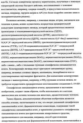 Избирательный направленный перенос в сосудистую сеть опухоли с использованием молекул антител (патент 2347787)