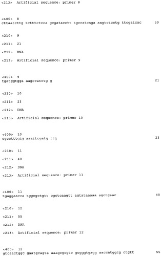 Способ конструирования оперонов, содержащих трансляционно сопряженные гены (патент 2411292)