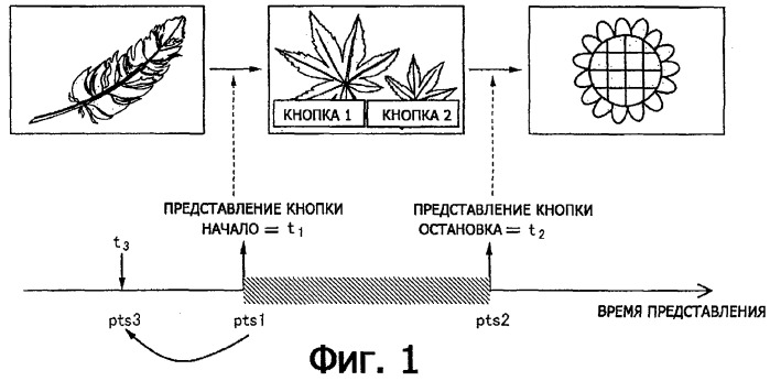 Устройство воспроизведения и способ воспроизведения (патент 2312412)