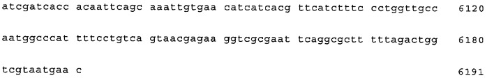 Нитрилгидратаза из rhodococcus (патент 2385932)