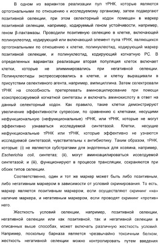 Селективная посттрансляционная модификация экспонируемых фагами полипептидов (патент 2459866)