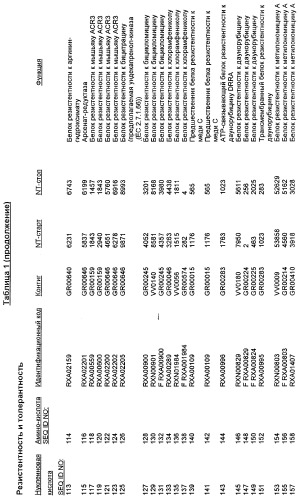 Гены corynebacterium glutamicum, кодирующие белки резистентности и толерантности к стрессам (патент 2303635)