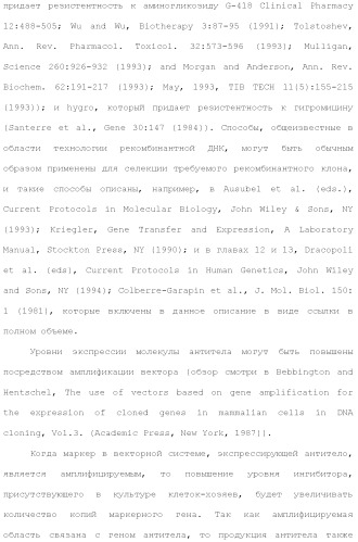 Слитые белки альбумина (патент 2369404)