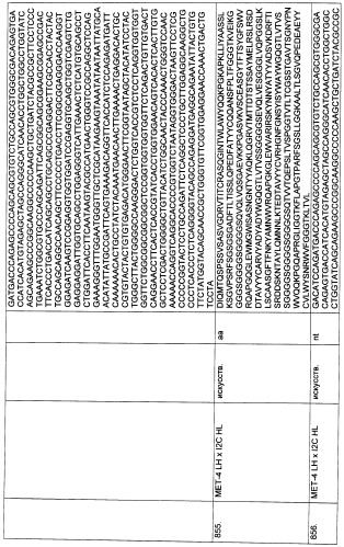 Pscaxcd3, cd19xcd3, c-metxcd3, эндосиалинxcd3, epcamxcd3, igf-1rxcd3 или fap-альфаxcd3 биспецифическое одноцепочечное антитело с межвидовой специфичностью (патент 2547600)