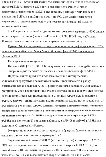 Вирусоподобные частицы, включающие гибридный белок белка оболочки бактериофага ар205 и антигенного полипептида (патент 2409667)