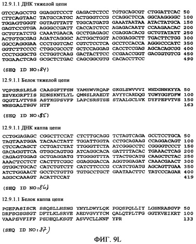 Применение антител к ctla-4 (патент 2346702)
