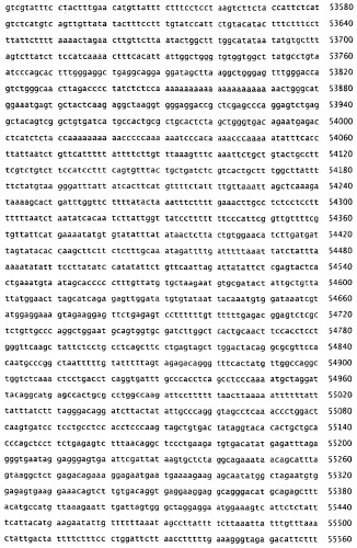 Применение s1p (патент 2362565)