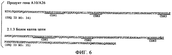 Применение антител к ctla-4 (патент 2346702)