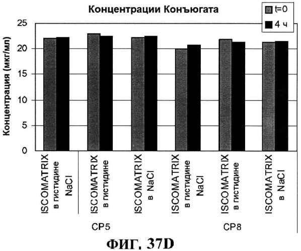 Стабильные иммуногенные композиции антигенов staphylococcus aureus (патент 2570730)