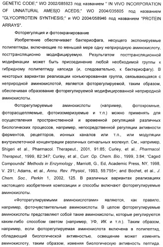 Селективная посттрансляционная модификация экспонируемых фагами полипептидов (патент 2459866)