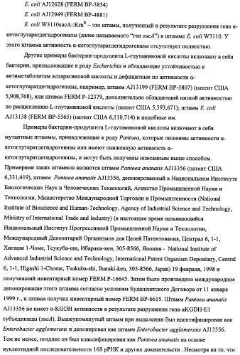 Способ получения l-треонина с использованием бактерии, принадлежащей к роду escherichia, в которой инактивирован ген fhua (патент 2333955)