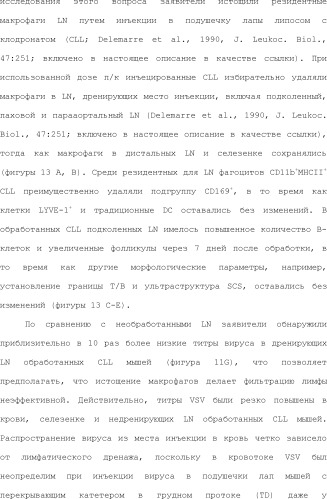 Нацеливание на антигенпрезентирующие клетки иммунонанотерапевтических средств (патент 2497542)