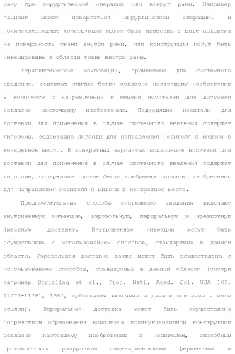 Слитые белки альбумина (патент 2369404)