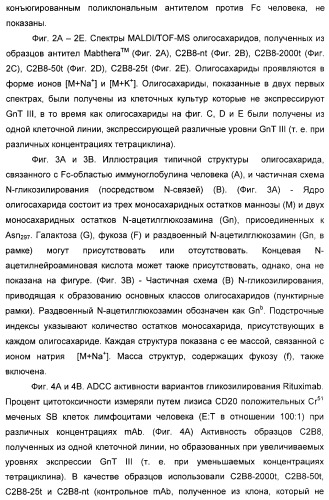 Гликозилированные антитела (варианты), обладающие повышенной антителозависимой клеточной цитотоксичностью (патент 2321630)