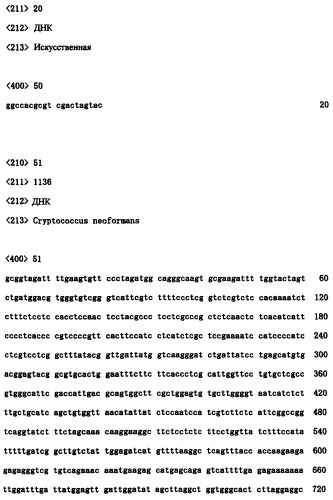 Ген синтеза клеточной стенки грибков (патент 2286387)