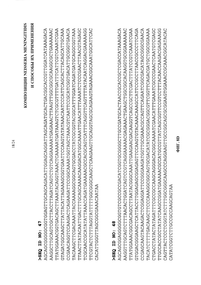 Композиции neisseria meningitidis и способы их применения (патент 2665841)